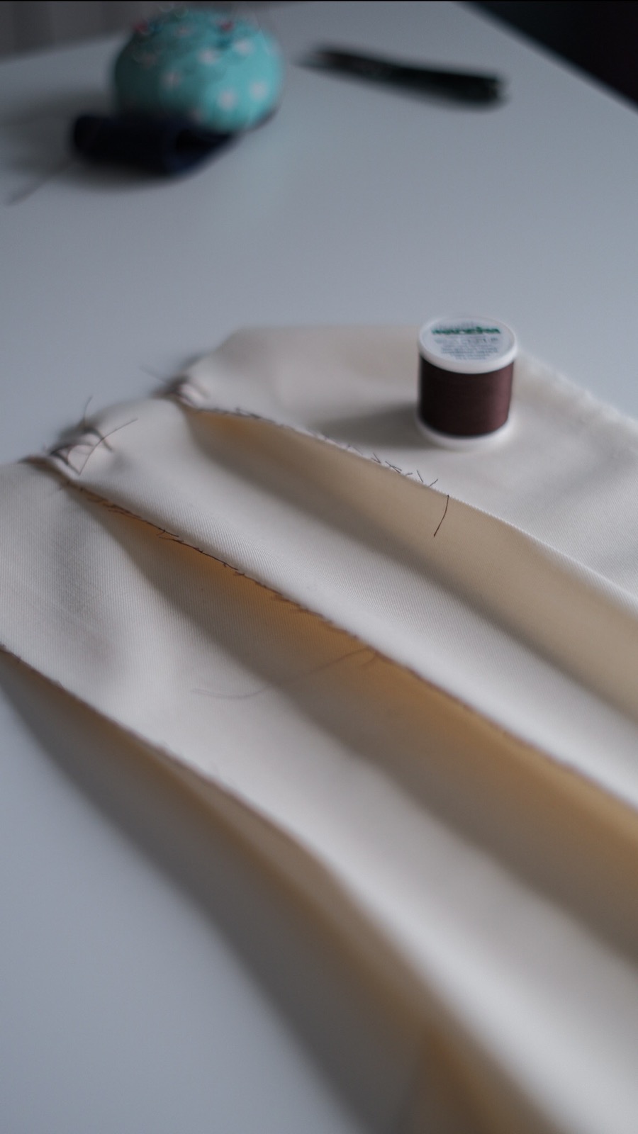 The beginning — learning to sew, Anton Masko
